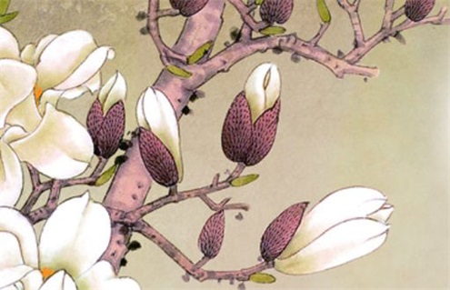 2025年08月24日动土好吗 宜建筑房屋吉日查询