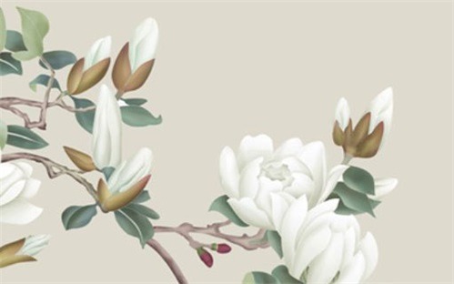 2026年02月16日动土日子如何 宜动土修造吉日查询