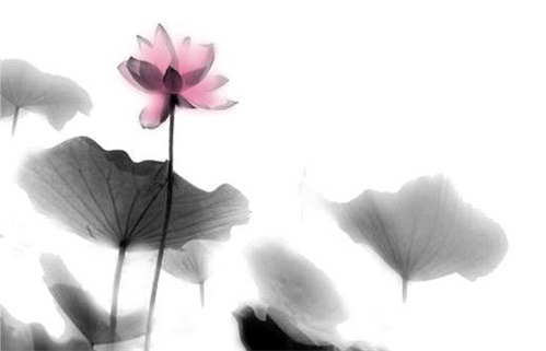 2025年09月06日动土好不好 是建筑房屋好日子吗