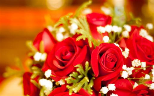 2025年11月17日结婚好吗 宜办婚礼吉日查询 2025年11月17日结婚好吗 宜办婚礼吉日查询