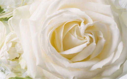 2026年农历正月十四是不是结婚吉日 适不适合办喜事