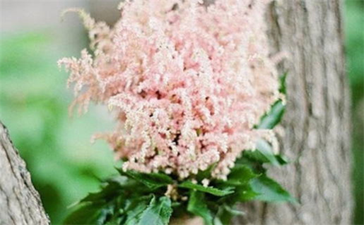 2026年01月28日结婚好吗 是办婚礼好日子吗