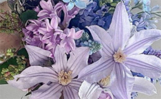 2025年11月24日结婚吉日查询 是办喜事好日子吗 2025年11月24日结婚吉日查询 是办喜事好日子吗