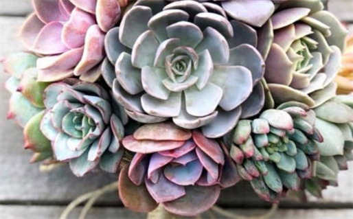 2026年01月25日结婚日子如何 是办婚礼好日子吗