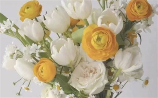 2025年农历十月廿七领证日子如何 今日登记领证好不好