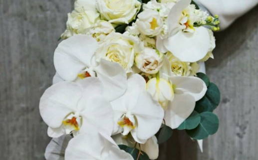 2026年01月24日领证好不好 是登记领证好日子吗