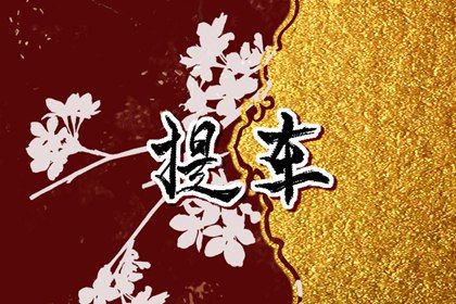 2025年农历九月二十提车吉日查询 是提新车好日子吗 2025年农历九月二十提车吉日查询 是提新车好日子吗